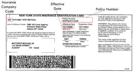 Sample Insurance ID Cards (FS.
